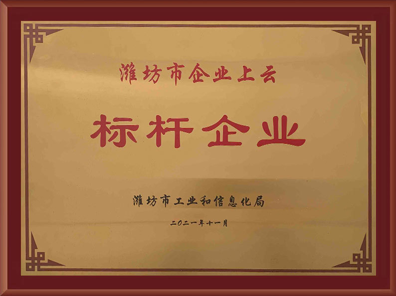 濰坊市企業上雲标杆企業